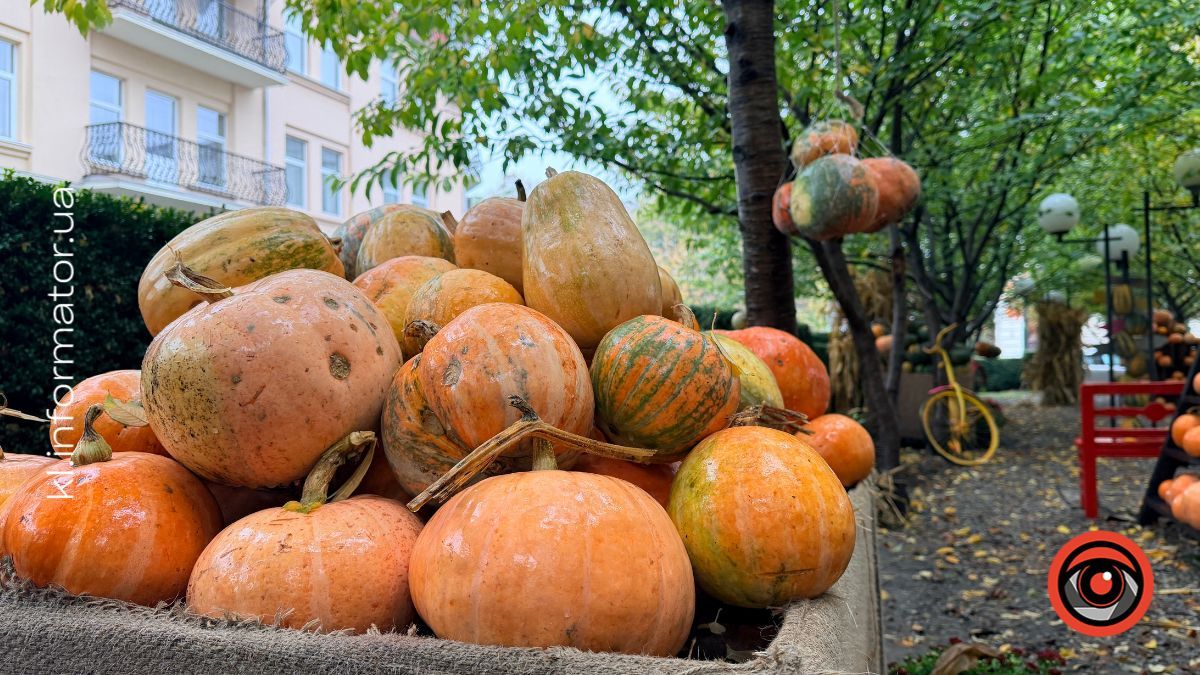 Золоте листя та міські пейзажі: недільний фоторепортаж із Коломиї 16