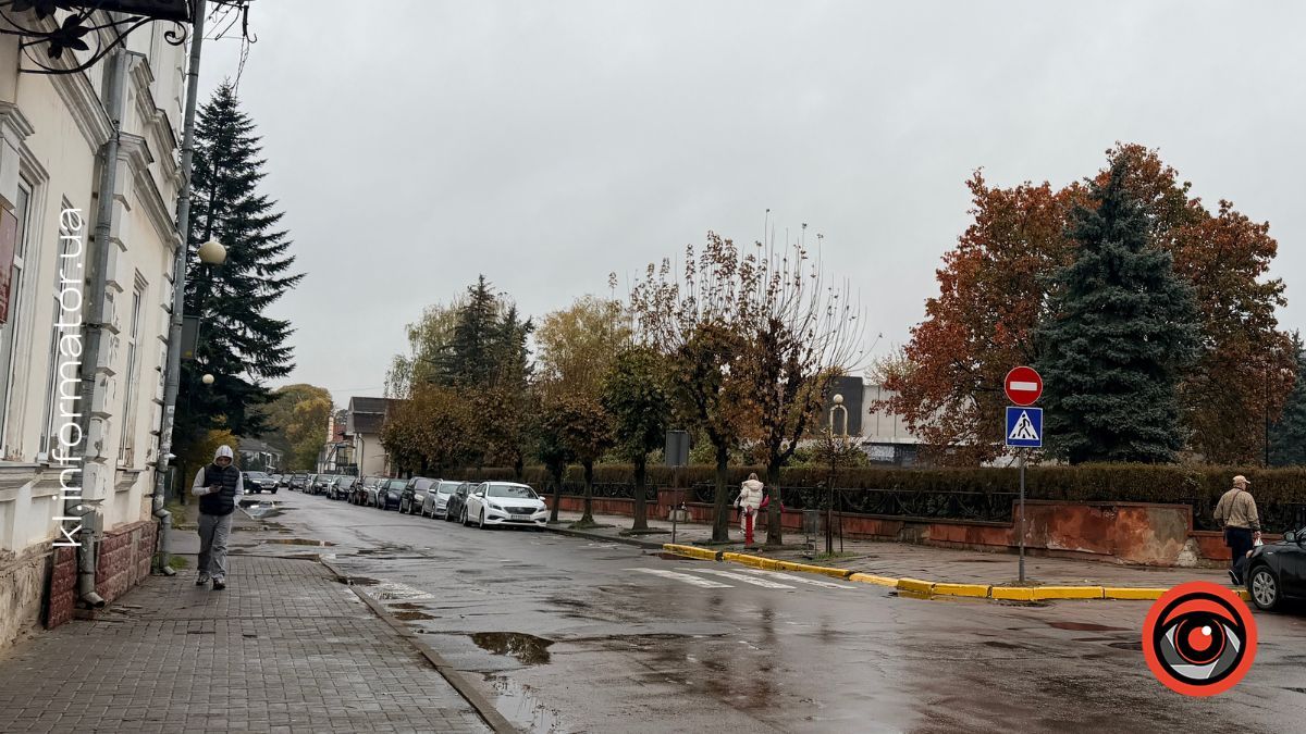 Золоте листя та міські пейзажі: недільний фоторепортаж із Коломиї 11