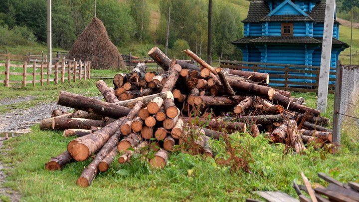 Дрова в селі Зелене Верховинського району.