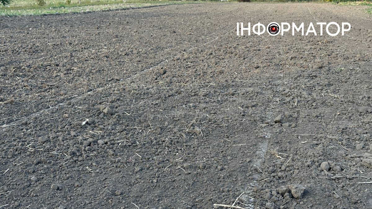 як підготувати ґрунт і рослини до зими заради щедрого врожаю