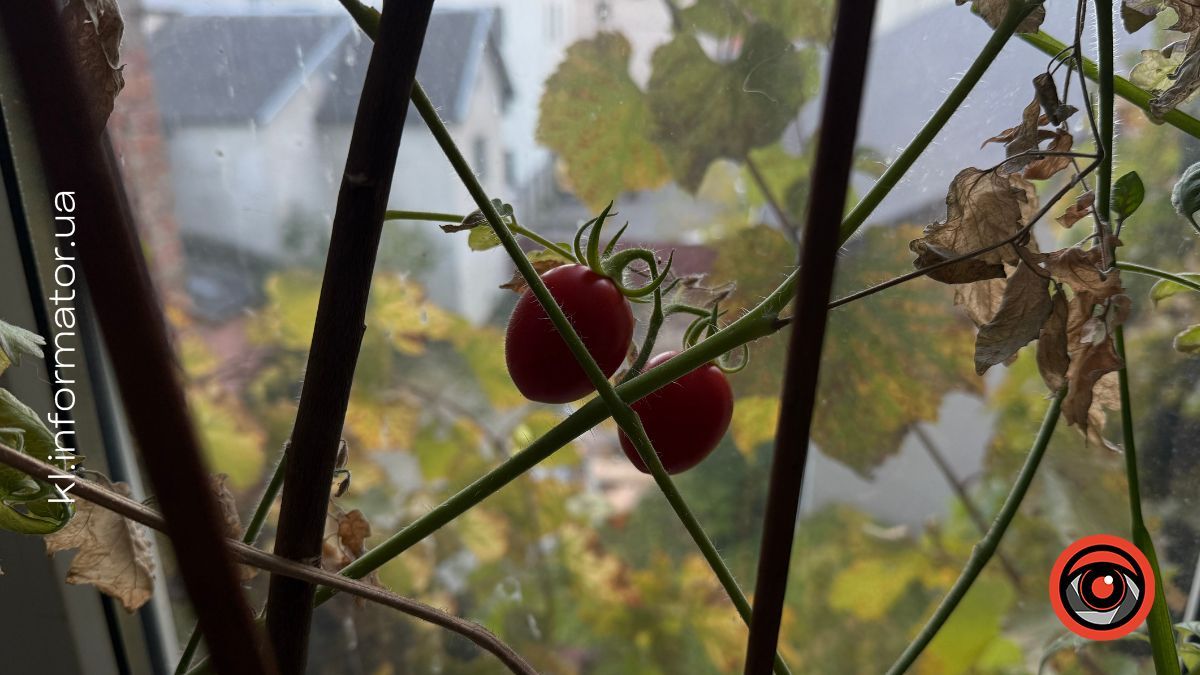 Календар городника з 26 жовтня по 1 листопада