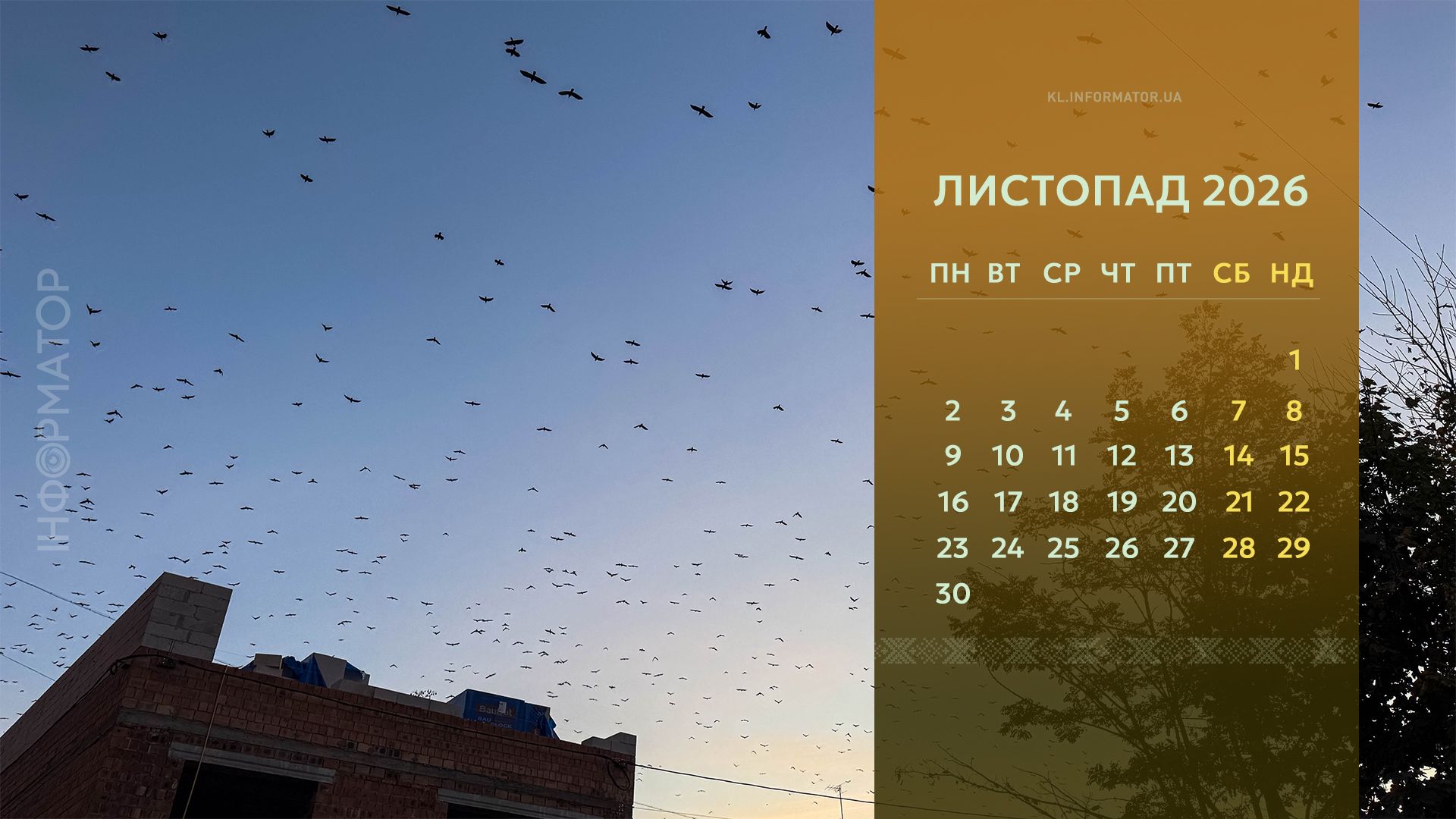 Пейзажі осені: календарі на робочий стіл від Інформатора. Листопад 2026 4