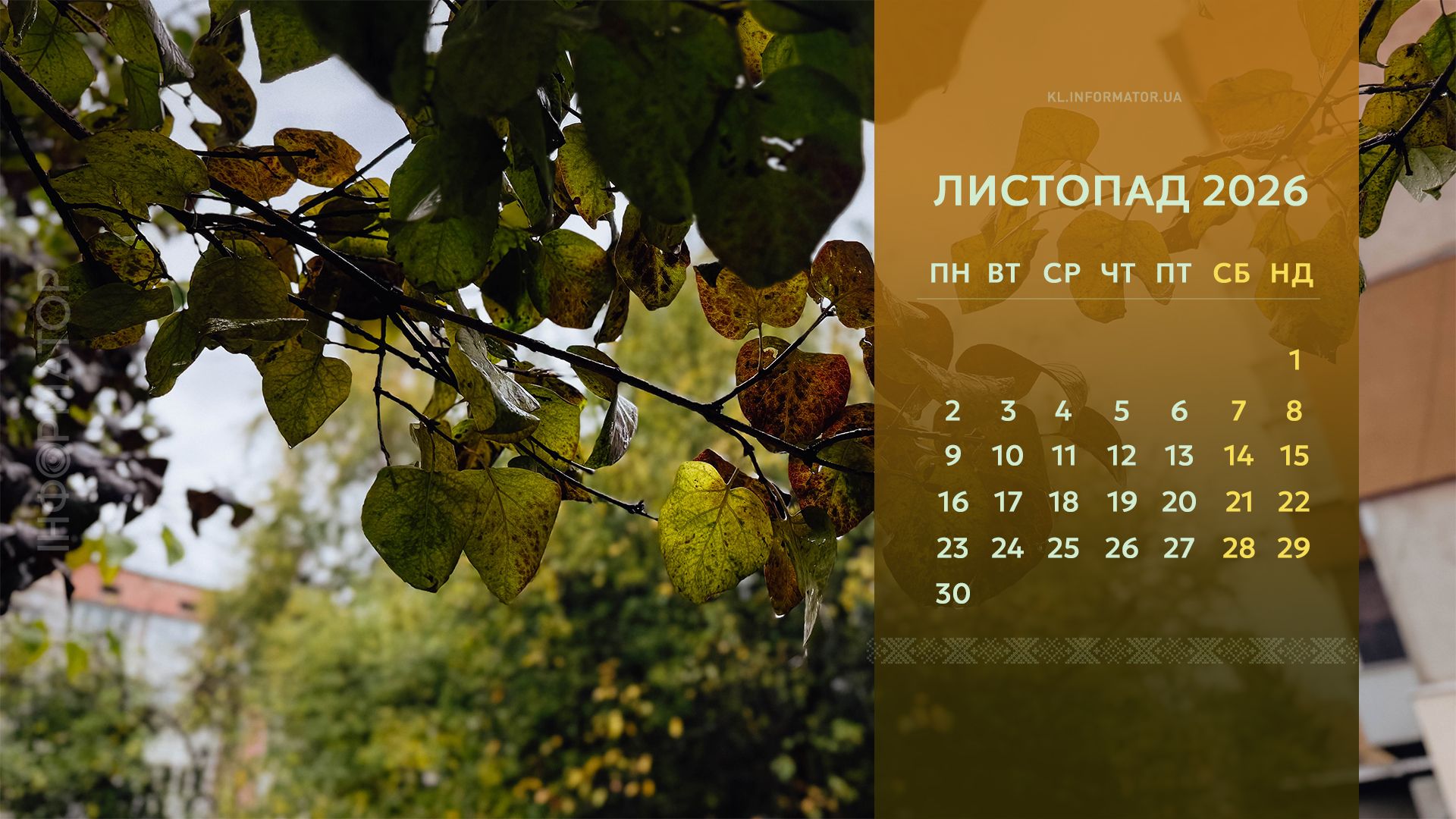 Пейзажі осені: календарі на робочий стіл від Інформатора. Листопад 2026 3