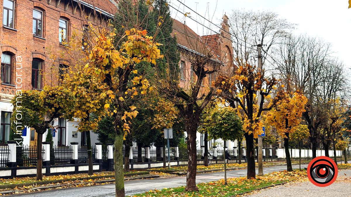 погода у коломиї