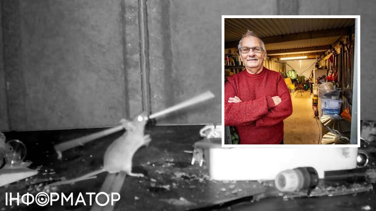 Мышь сама кладет все вещи обратно в коробку! Мышь сама кладет все вещи обратно в коробку!