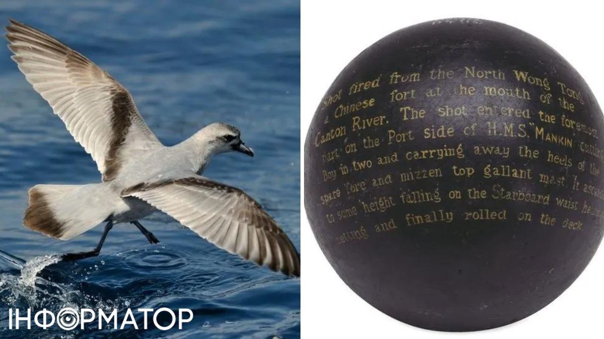 а может, руководству следует относиться к экспонатам - серьезнее? а может, руководству следует относиться к экспонатам - серьезнее?