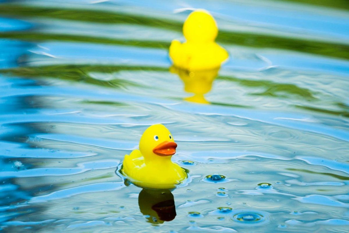 В 2013 году резиновый утенок стал одной из 53 игрушек, включенных в американский зал славы со статусом долговременной популярности