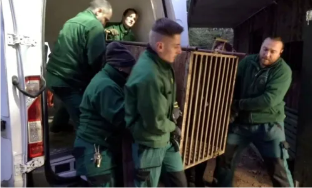 Ямполя врятували з-під обстрілів і дали притулок у Шотландії Ямполя врятували з-під обстрілів і дали притулок у Шотландії