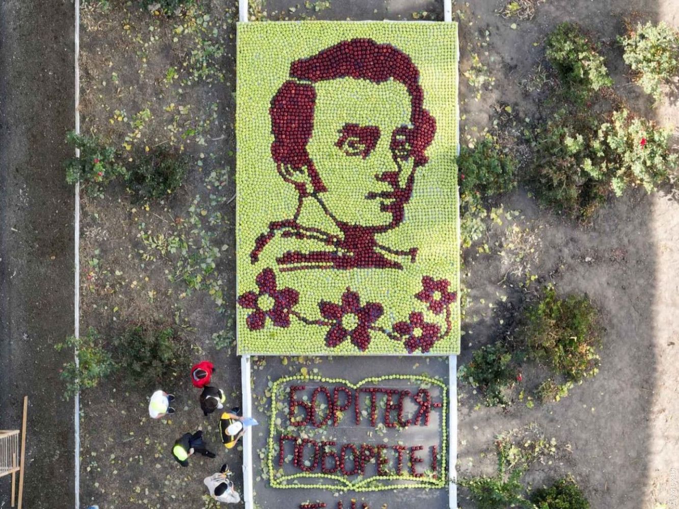 Яблоки сортов гала, чемпион, фуджи и голден собраны из собственных усадеб учеников лицея Яблоки сортов гала, чемпион, фуджи и голден собраны из собственных усадеб учеников лицея