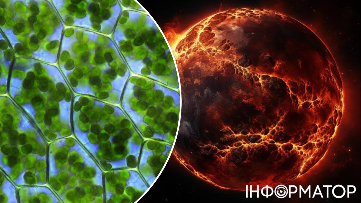 Солнце со временем испарит земные океаны! Солнце со временем испарит земные океаны!