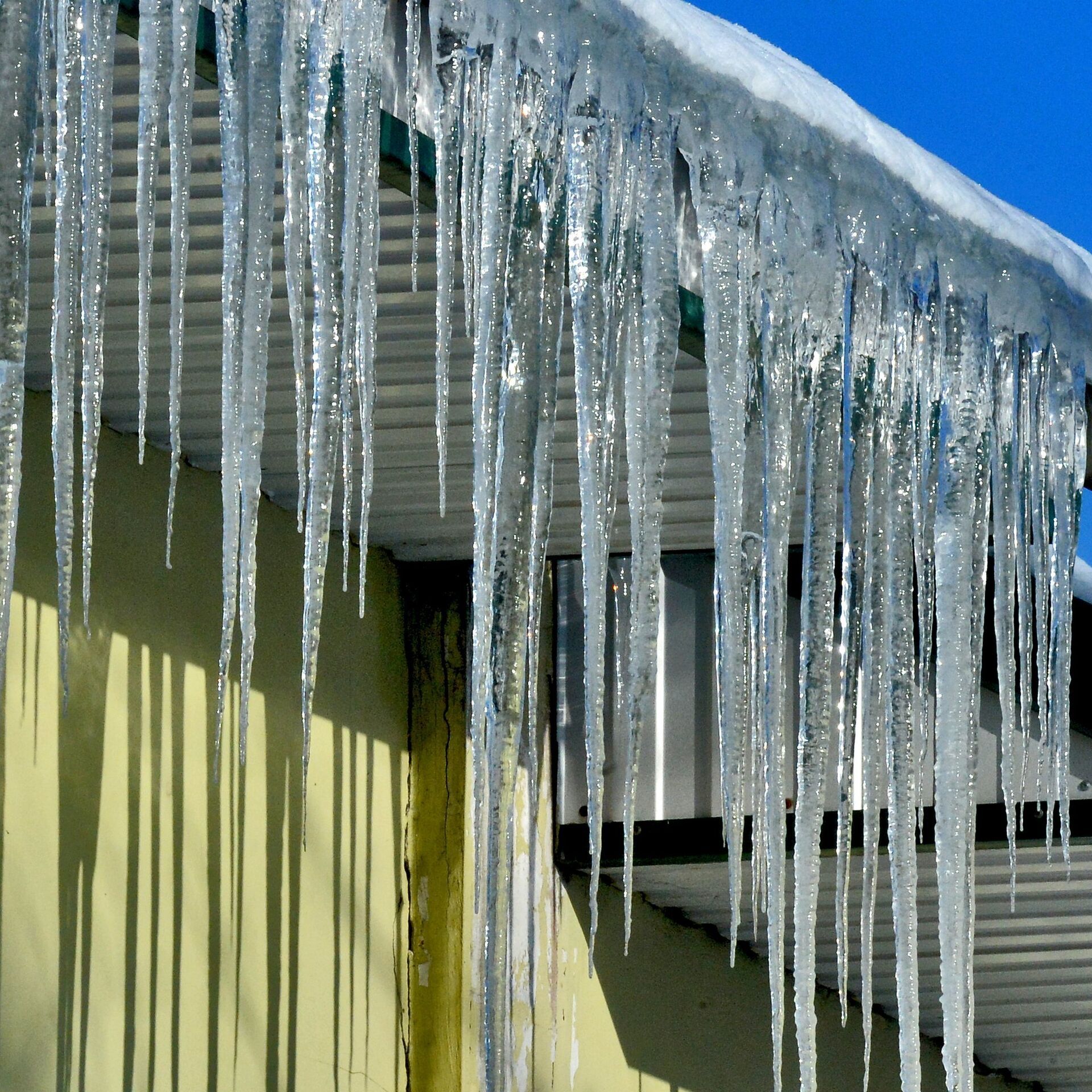 Сегодня замечательный зимний день, праздник и отличный повод для того, чтобы поздравить своих близких людей Сегодня замечательный зимний день, праздник и отличный повод для того, чтобы поздравить своих близких людей