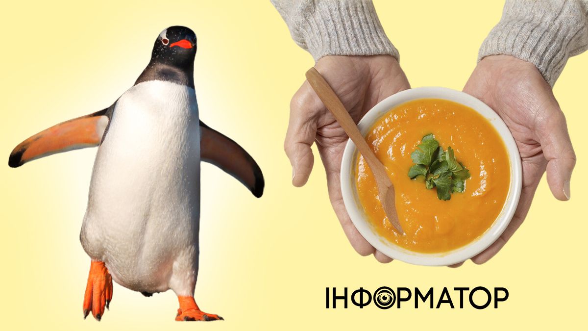 Какой сегодня, 20 января, праздник - День обмена супами и знаний о пингвинах