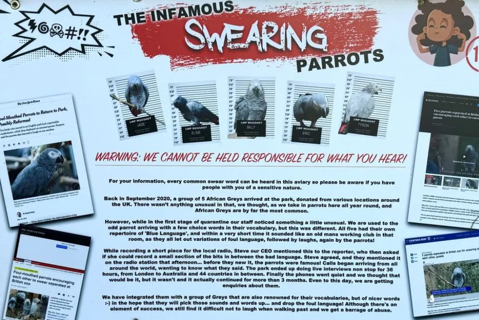 Сообщение об отказе от ответственности на вольере с ругающимися попугаями в парке дикой природы Линкольншира Сообщение об отказе от ответственности на вольере с ругающимися попугаями в парке дикой природы Линкольншира