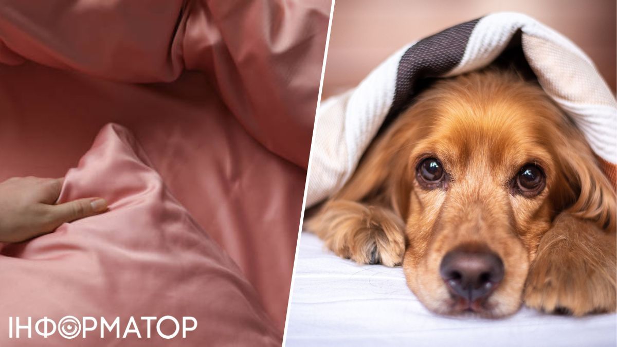 Стирка в домашних условиях может продлить срок жизни вашей вещи. Стирка в домашних условиях может продлить срок жизни вашей вещи.