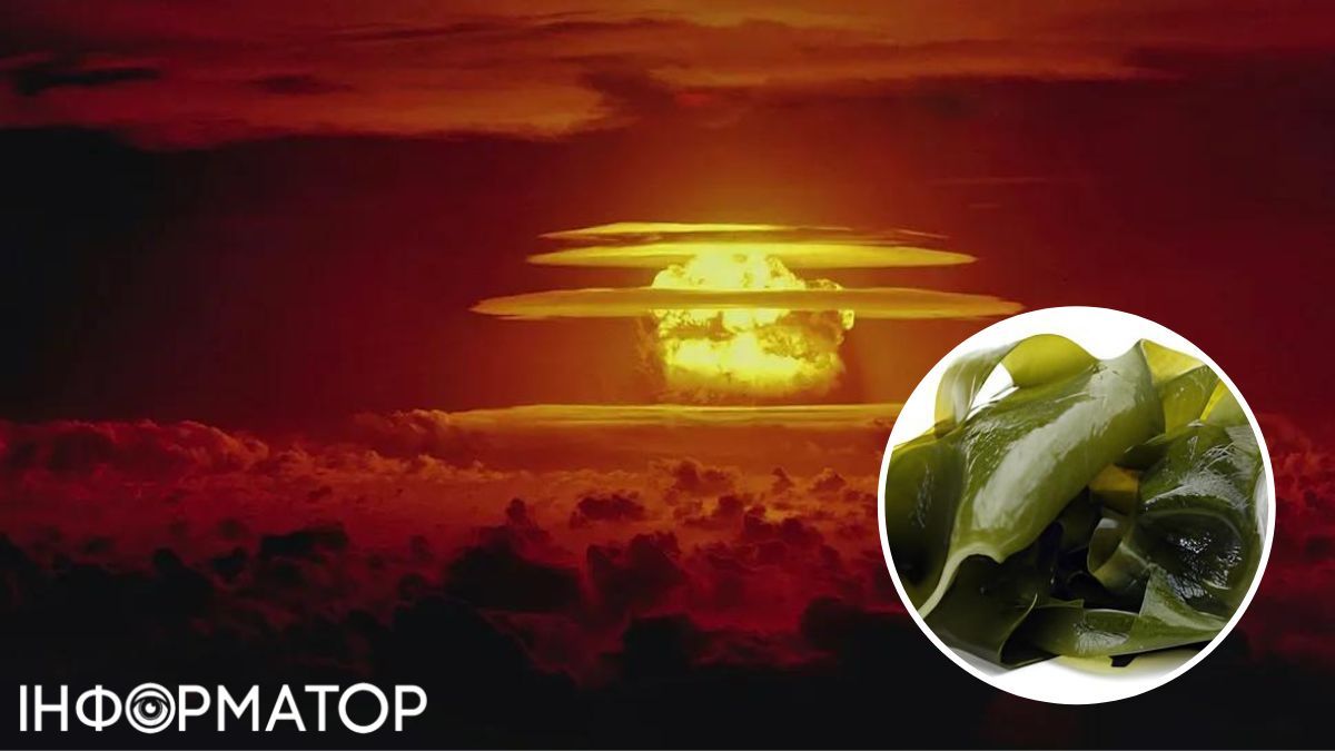 Звичайна морська капуста зможе врятувати мільярди людських життів! Звичайна морська капуста зможе врятувати мільярди людських життів!