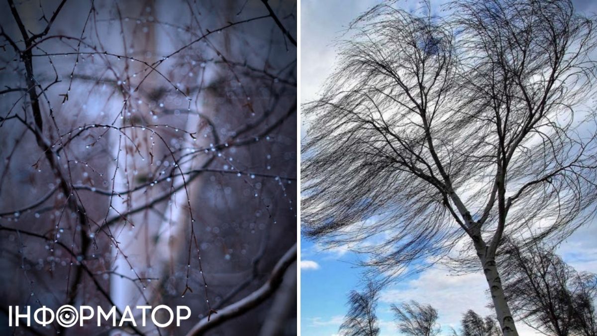 Вітер та дощ