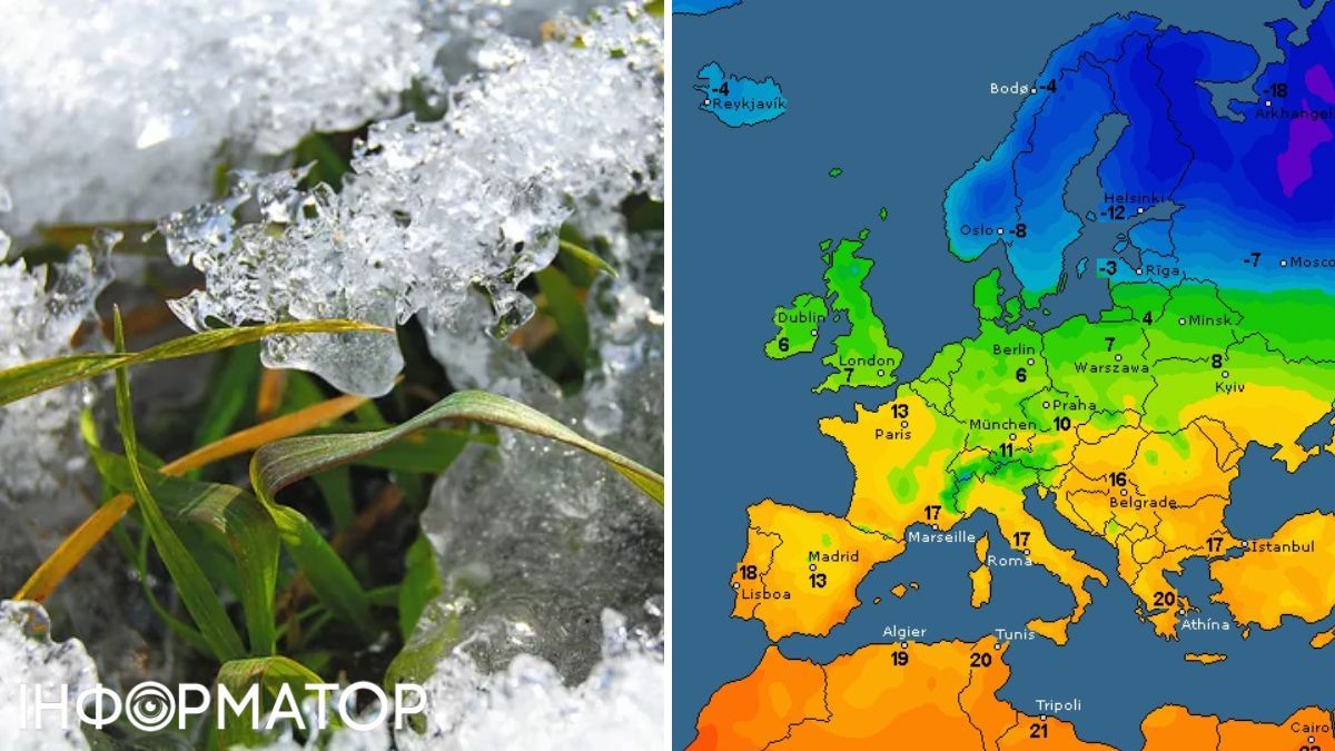 Трава та карта