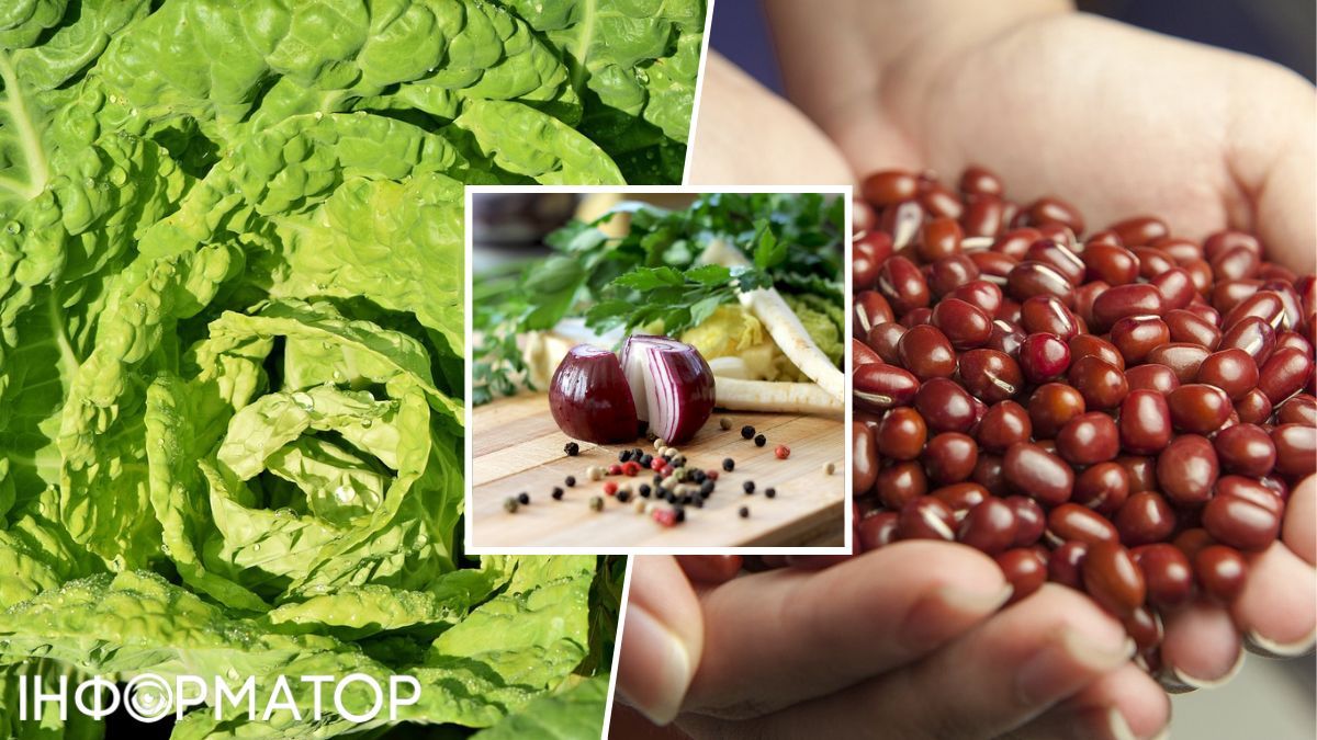 Для этого супа можно варить яйца по одному или приготовить их все вместе, следя за временем приготовления каждого отдельного яйца. Для этого супа можно варить яйца по одному или приготовить их все вместе, следя за временем приготовления каждого отдельного яйца.