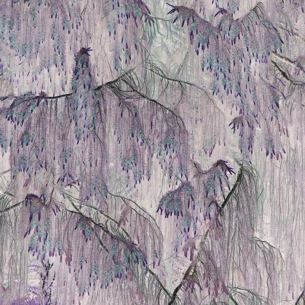 Во время постобработки Шарп усилила то, что она описывает как «ощущение «птиц», танцующих в фантастическом лесу». Во время постобработки Шарп усилила то, что она описывает как «ощущение «птиц», танцующих в фантастическом лесу».