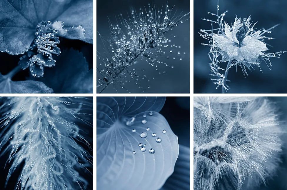 Evanescent, Evanescent,