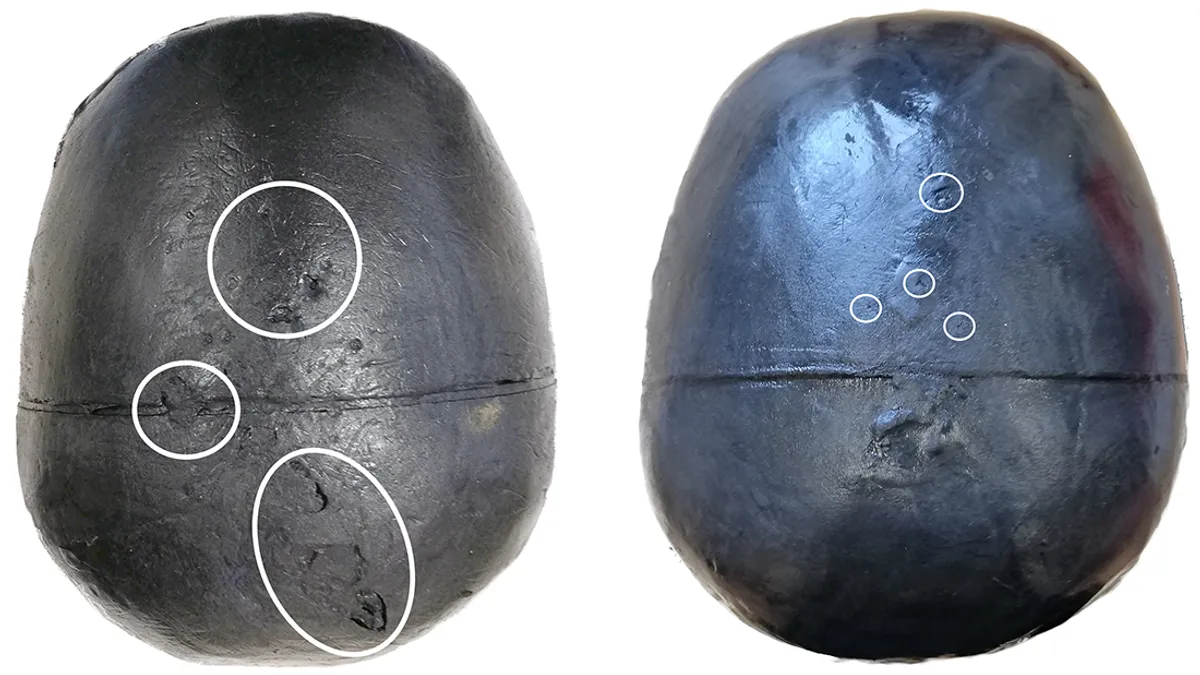 Два фантомні черепи. Один з більшими ознаками пошкодження, ніж інший. Сухий череп (ліворуч) був значно більше пошкоджений, ніж мокрий. Два фантомні черепи. Один з більшими ознаками пошкодження, ніж інший. Сухий череп (ліворуч) був значно більше пошкоджений, ніж мокрий.