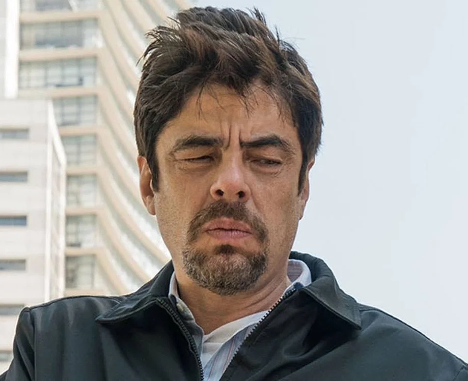 Бенісіо дель Торо