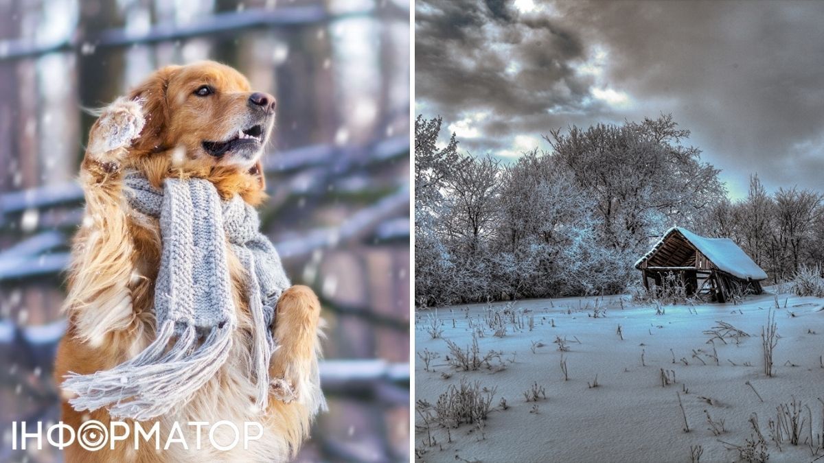 Собака та хмари