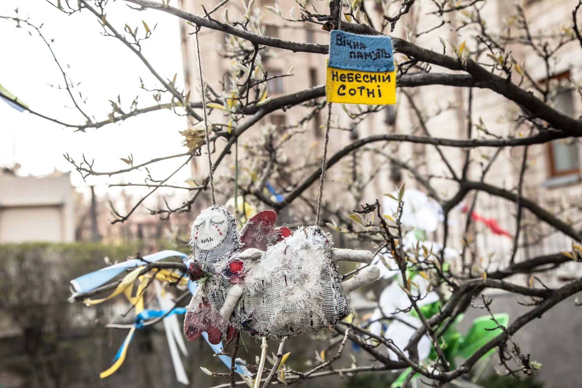 Пам’ятаючи про Героїв Небесної Сотні, незважаючи на всі відмінності щодо мови спілкування та етнічного походження, ми розуміємо, що найвищими цінностями залишаються свобода, гідність та право самим обирати свою долю Пам’ятаючи про Героїв Небесної Сотні, незважаючи на всі відмінності щодо мови спілкування та етнічного походження, ми розуміємо, що найвищими цінностями залишаються свобода, гідність та право самим обирати свою долю