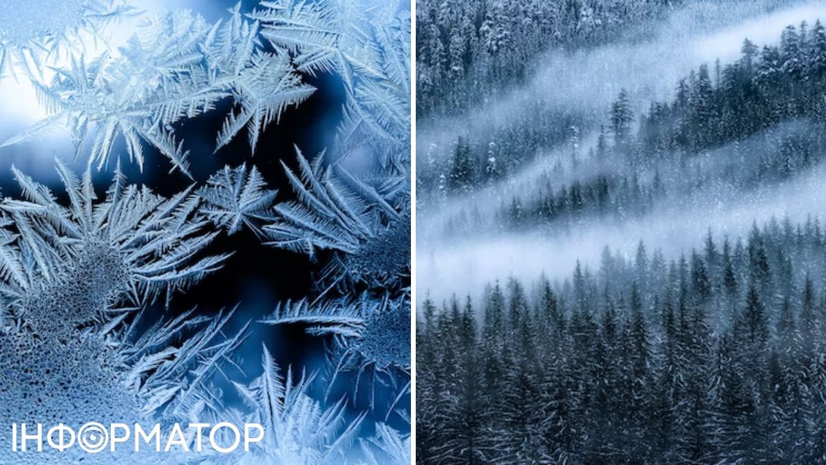 Мороз та туман