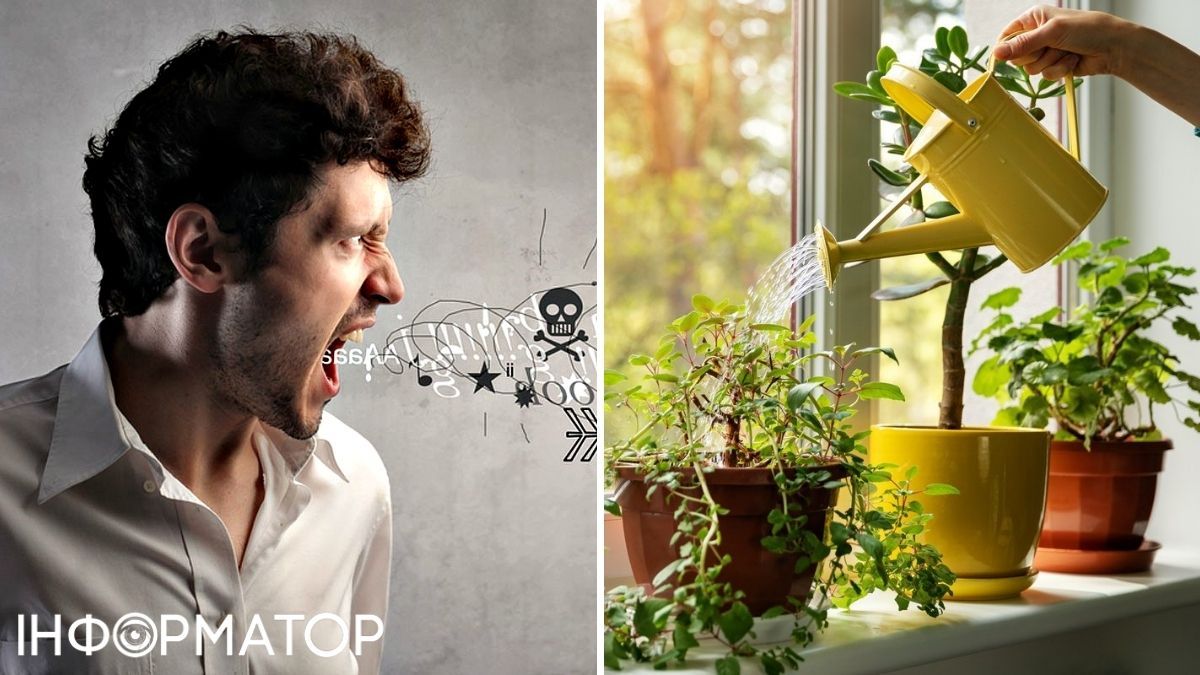 Мужчина и растения