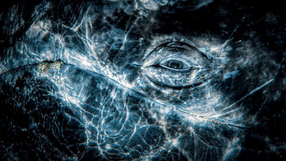 Рафаэль Фернандес Кабальеро/UPY2024 Рафаэль Фернандес Кабальеро/UPY2024