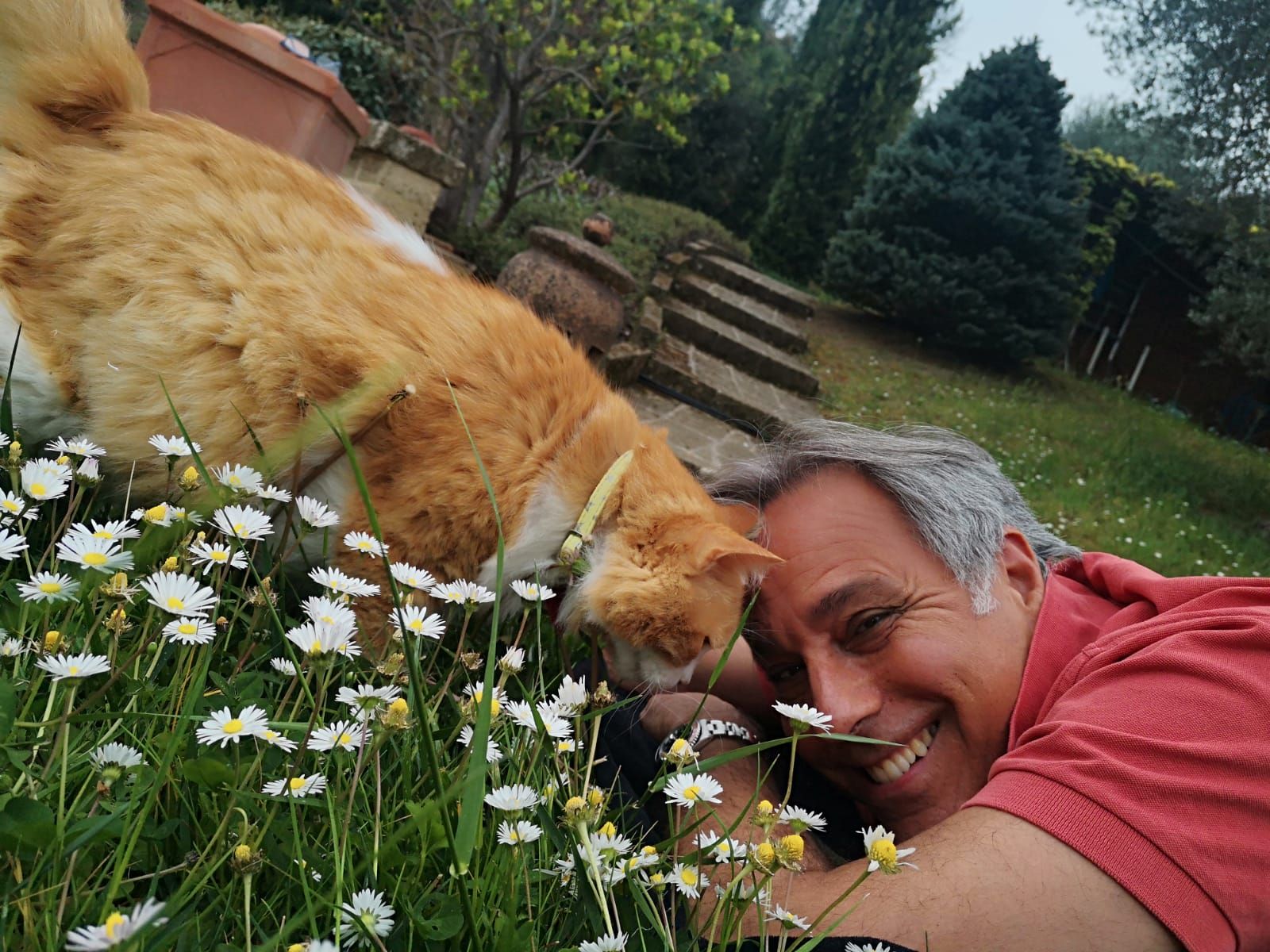 Жизнь на природе замедляет процесс старения. Жизнь на природе замедляет процесс старения.