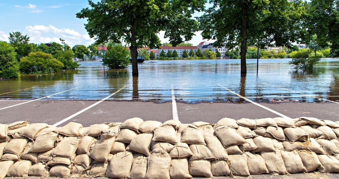 День святкування обраний на честь отримання МОЦО міжурядового статусу і закріплення статуту організації, що відбулося у 1972 році