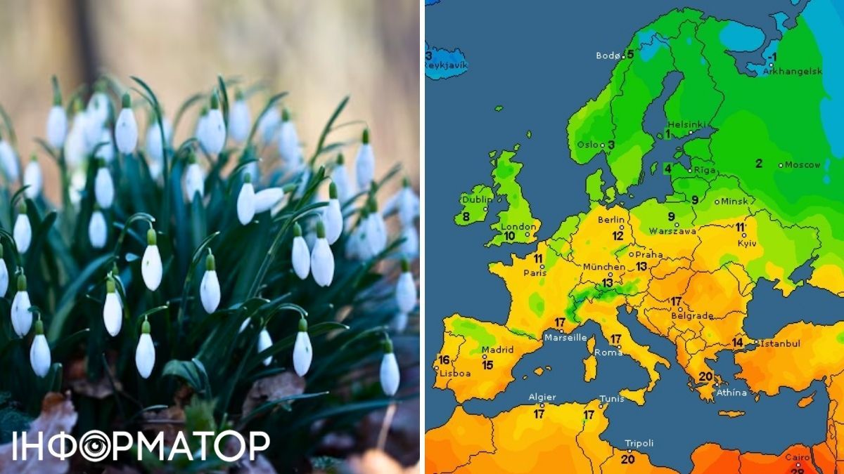 Цветы и карта