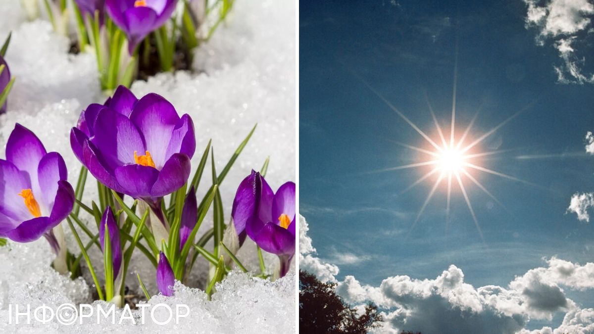 Цветы и солнце