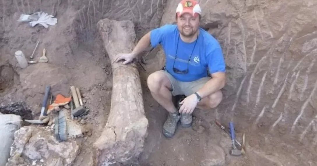 Эта находка является наиболее полным скелетом представителя этого семейства из всех обнаруженных палеонтологами Эта находка является наиболее полным скелетом представителя этого семейства из всех обнаруженных палеонтологами