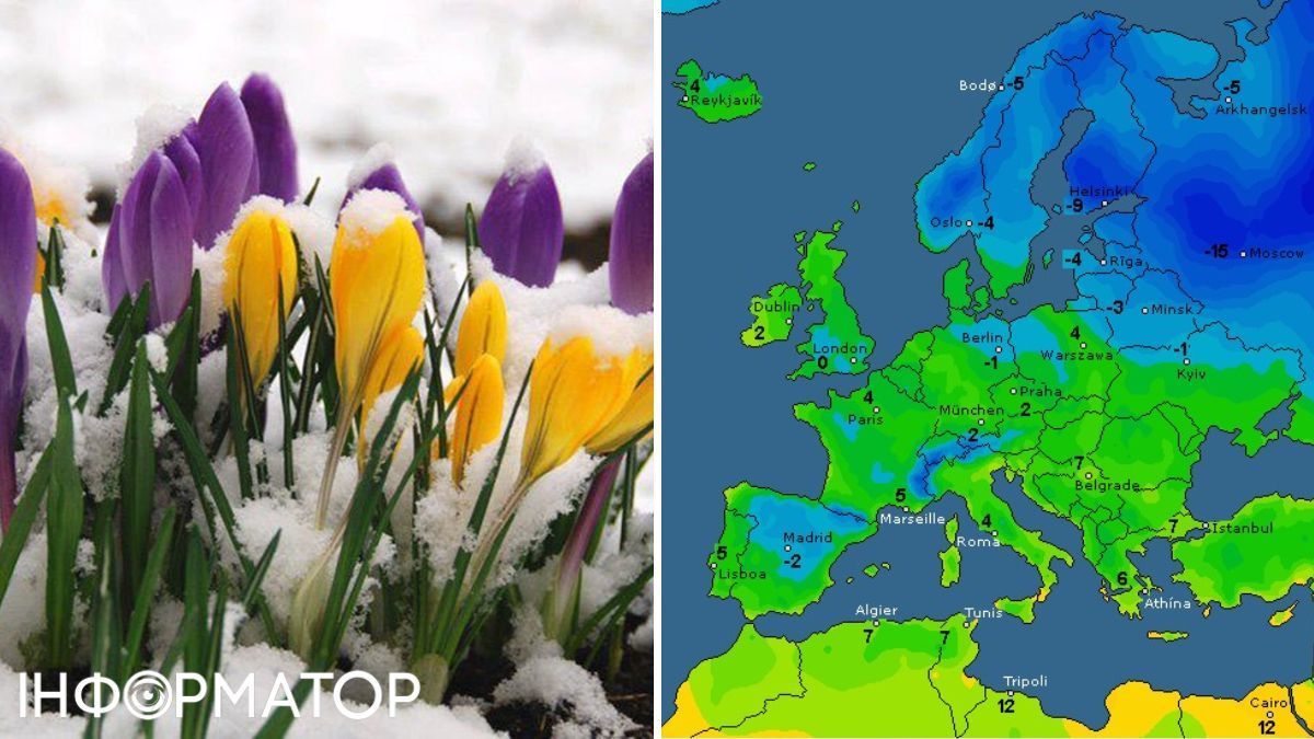 Квіти та карта