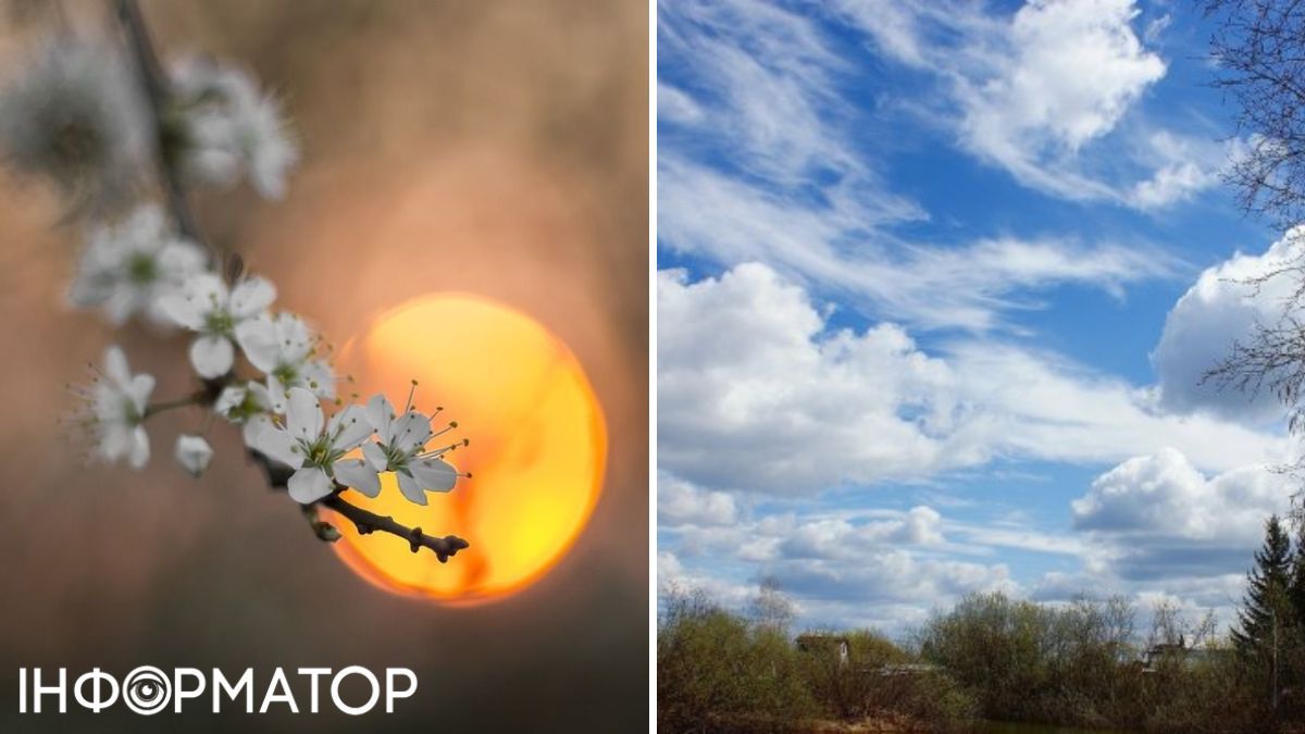 Цветок и облака