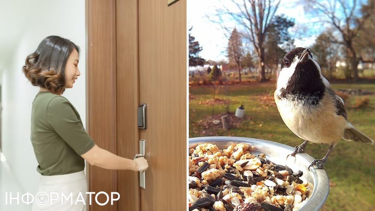 Дівчина та пташка