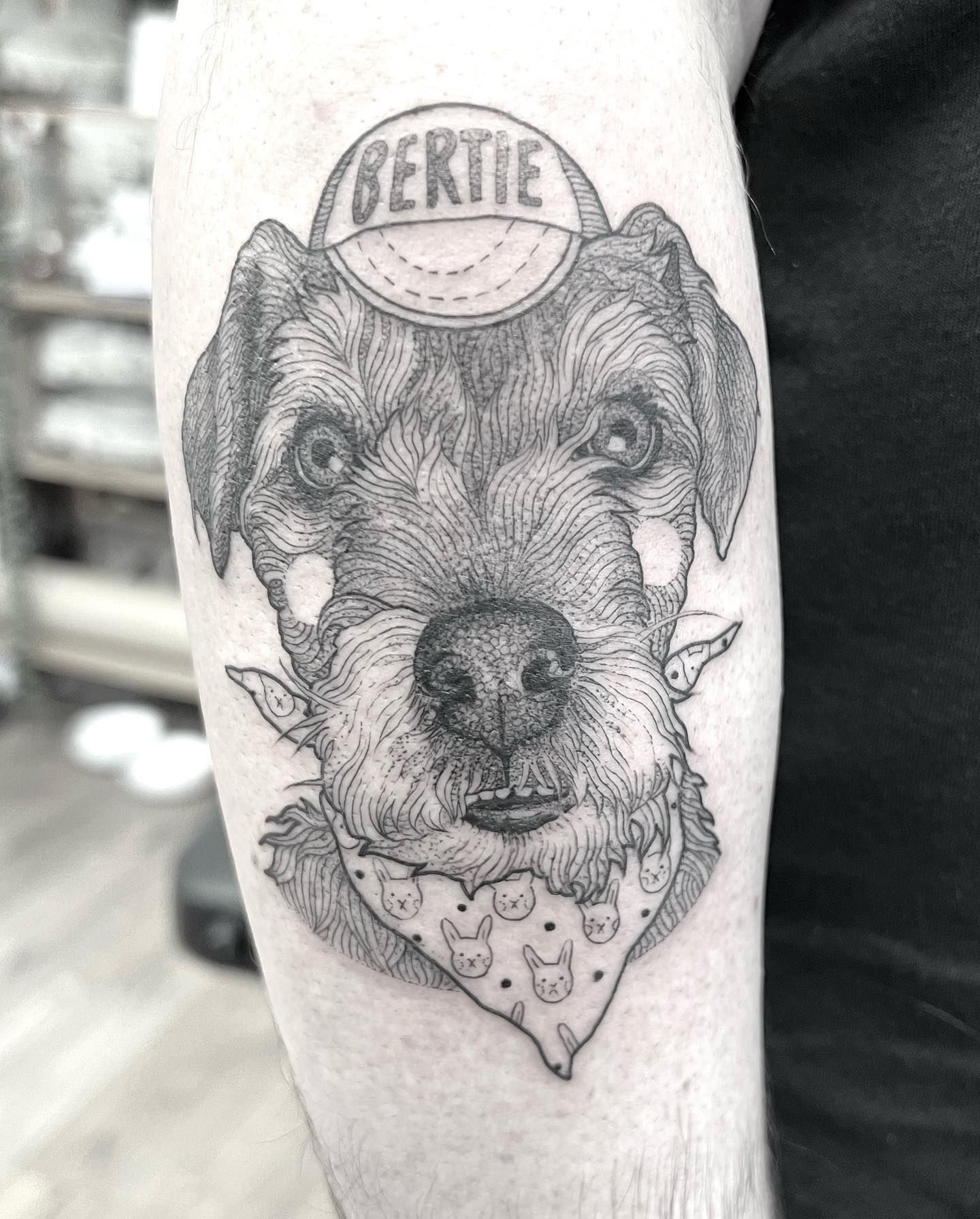 Тер'єр на ім'я Берті у бандані з кролячим принтом Тер'єр на ім'я Берті у бандані з кролячим принтом