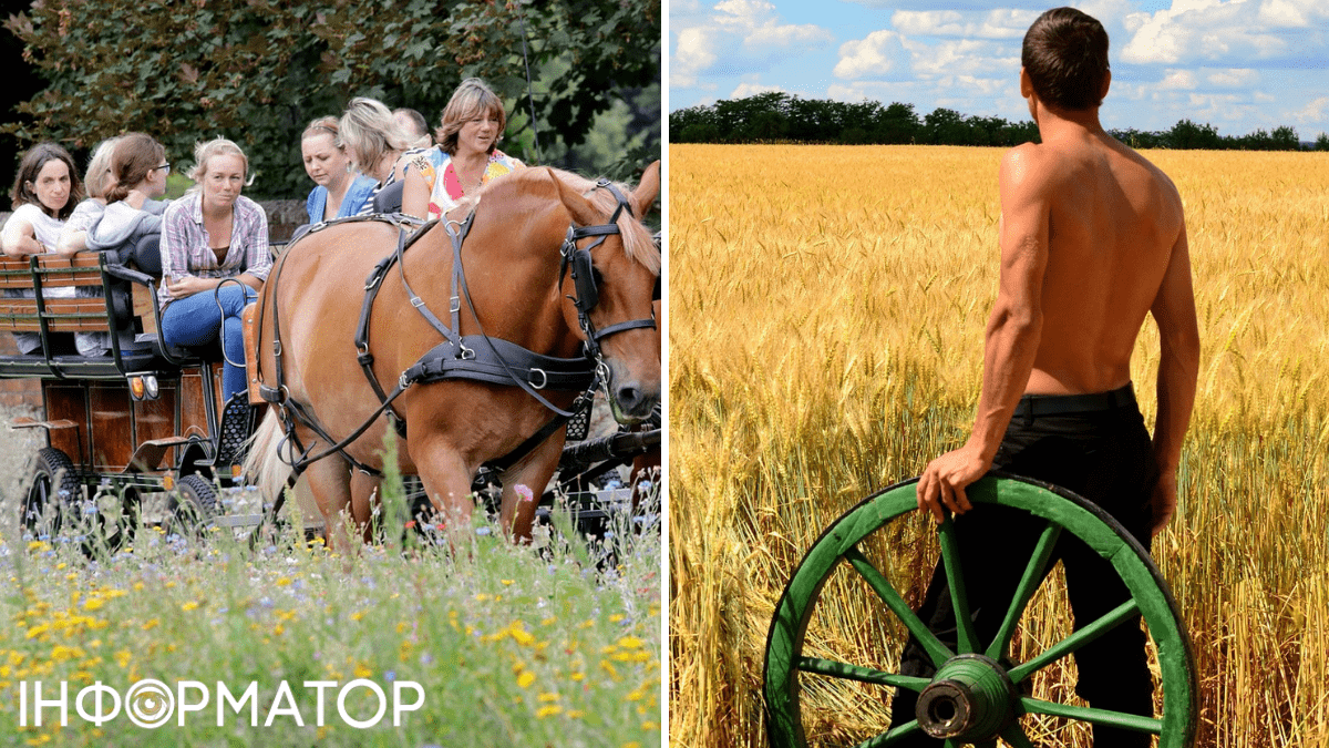 Птахи та весна