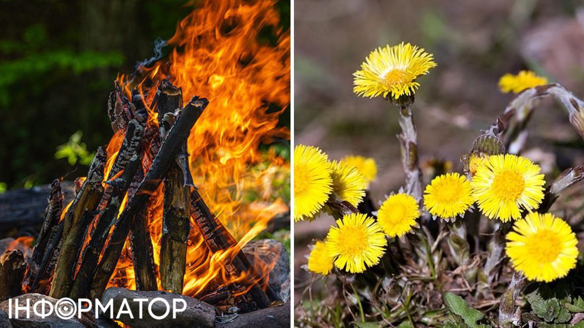 Огонь и мать-и-мачеха