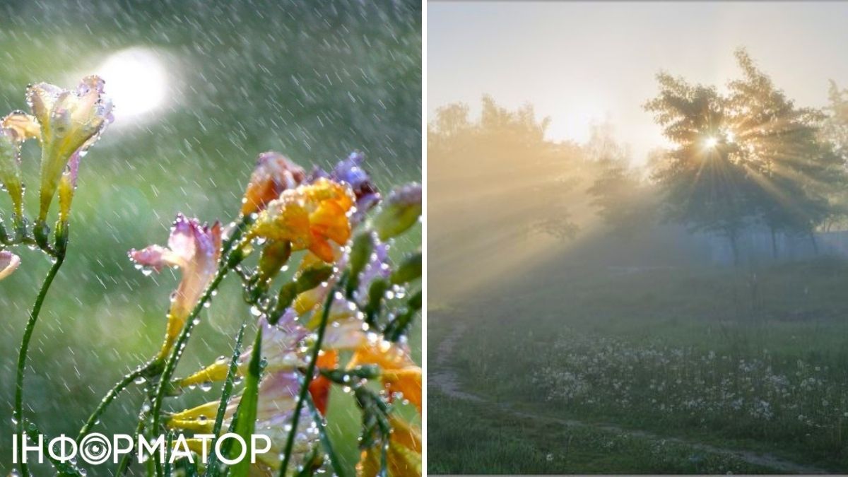 Цветы и туман