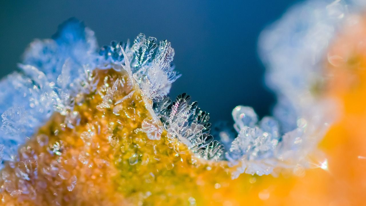 У всьому винна - фізика :) У всьому винна - фізика :)