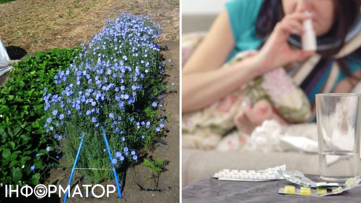 Ліки та льон