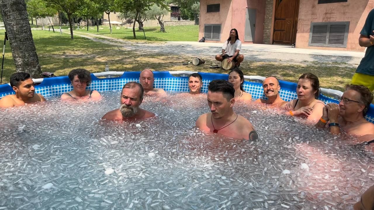 У Хофа множество учеников и последователей. У Хофа множество учеников и последователей.