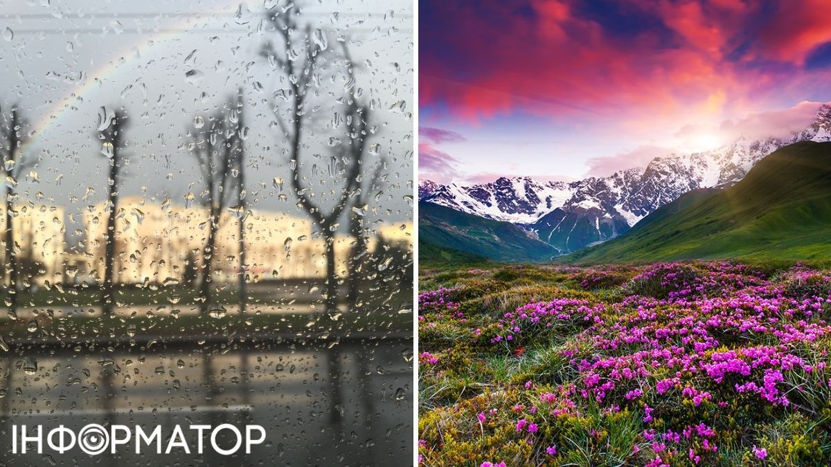 Дождь и цветы