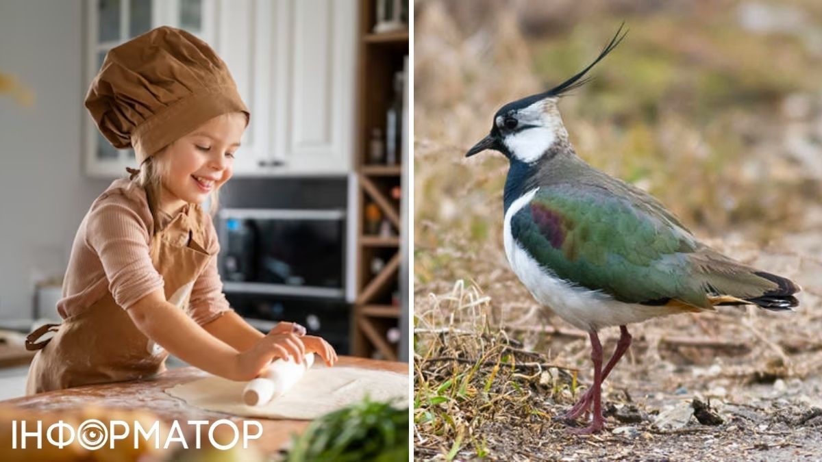 Чибис и ребенок