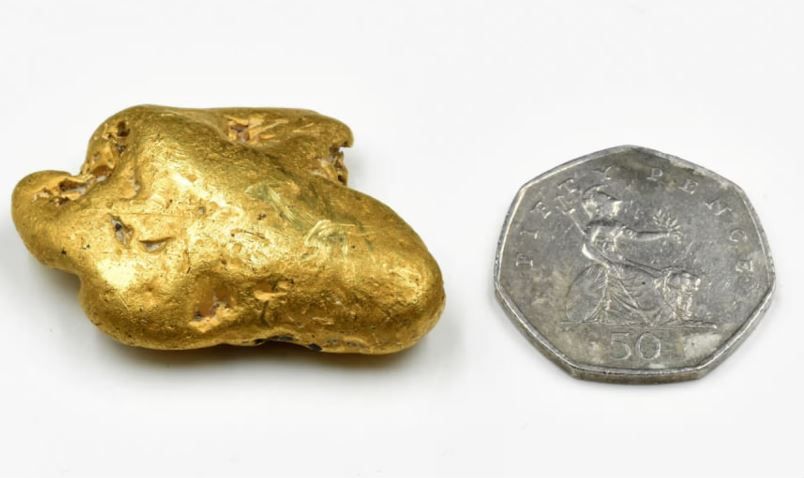 Чоловік збирається розділити з власником землі кошти, виручені від аукціону. 