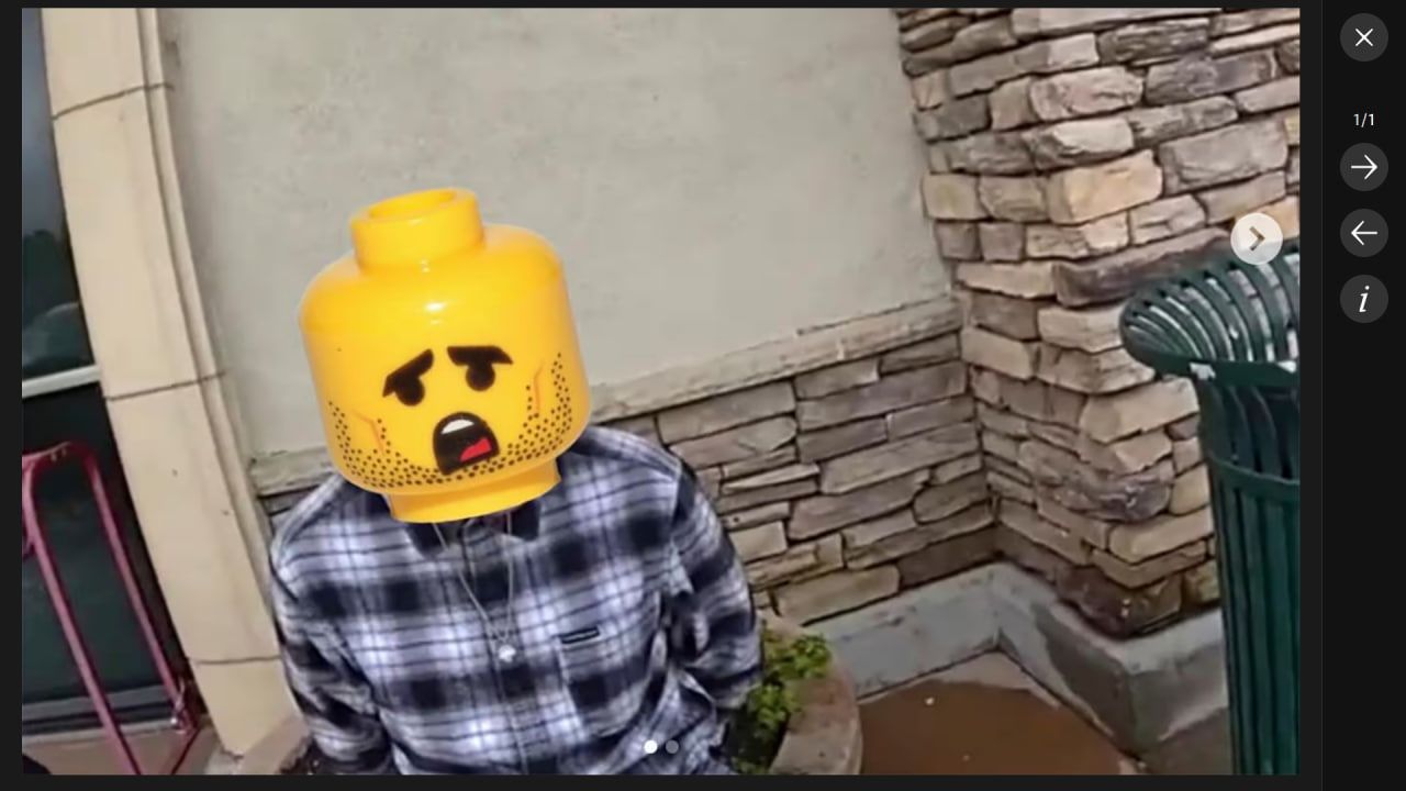 Вот на что псокжалились в Вот на что псокжалились в